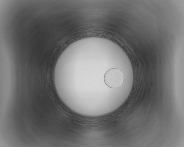 X0000112890701200908211030