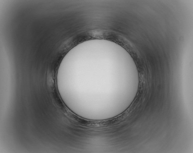 X0000112890702200908211030