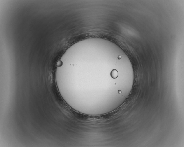X0000112890703200908211030