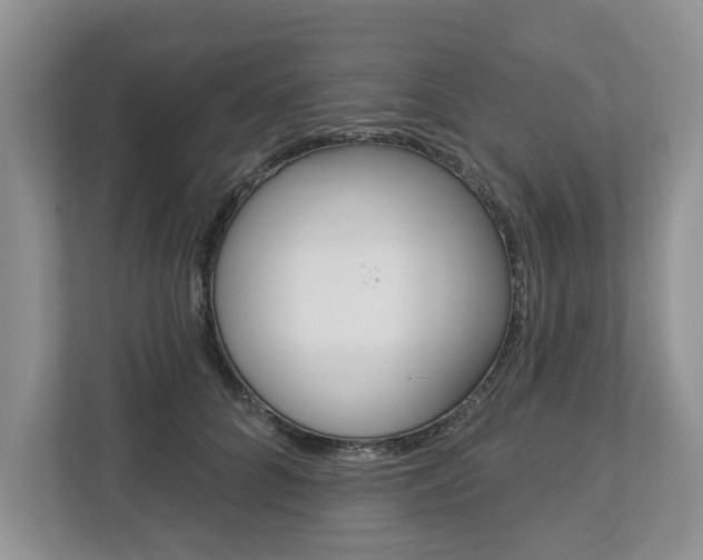 X0000112890704200908211030