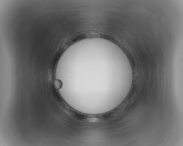 X0000112890706200908211030