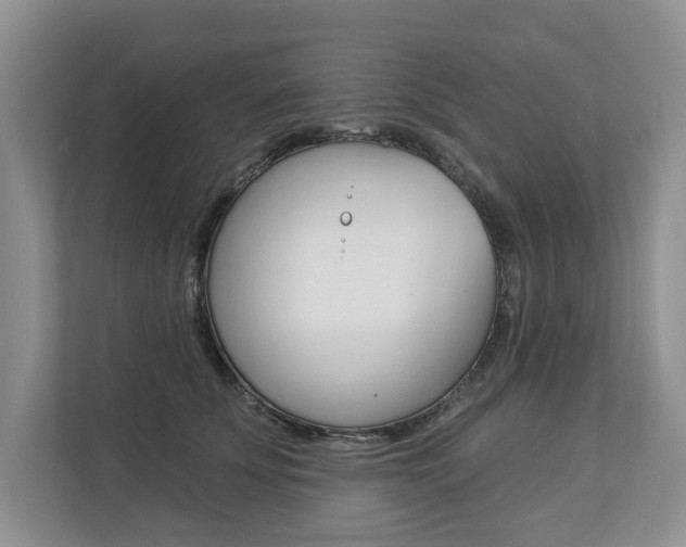 X0000112890707200908211030
