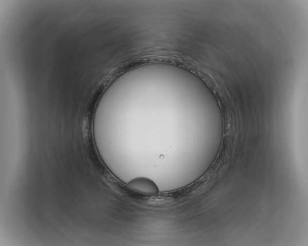 X0000112890708200908211030