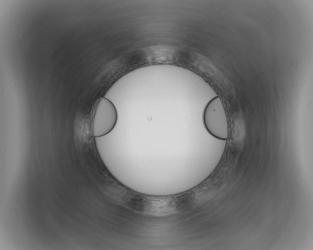 X0000112890709200908211030