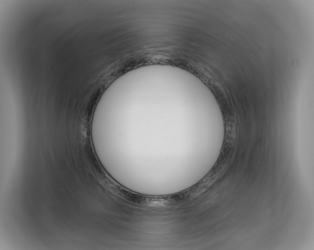 X0000112890710200908211030
