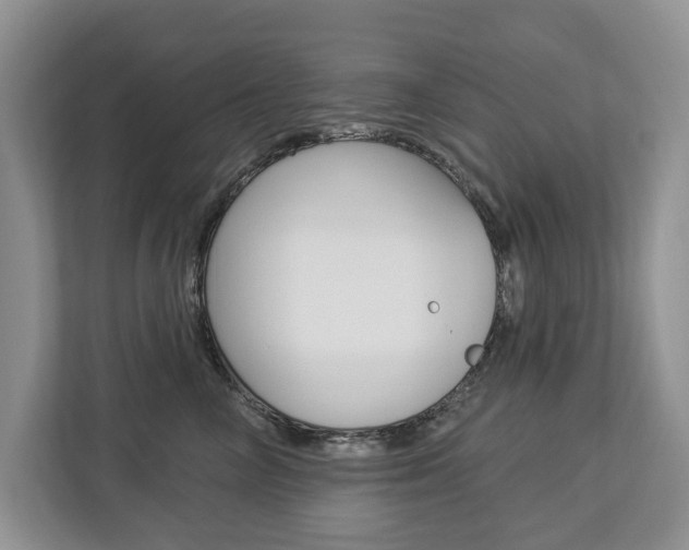 X0000112890714200908211030