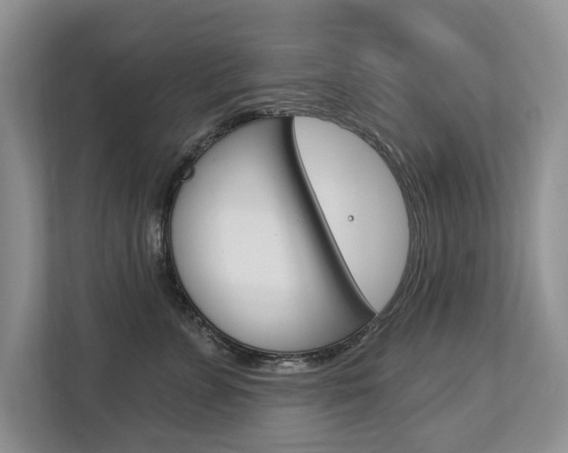 X0000112890715200908211030