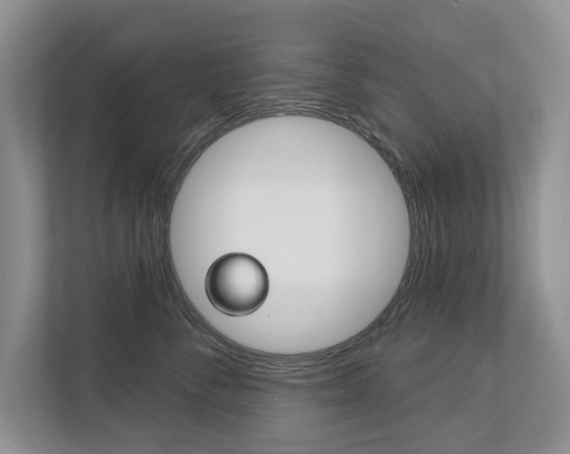 X0000112890716200908211030