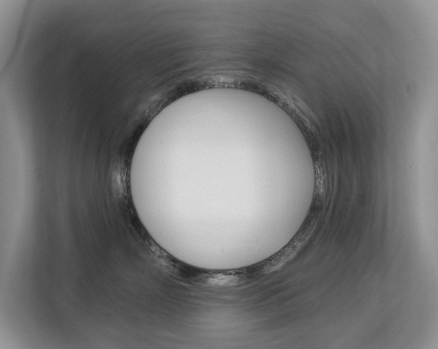 X0000112890718200908211030