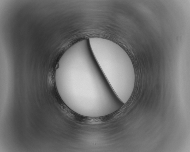 X0000112890719200908211030