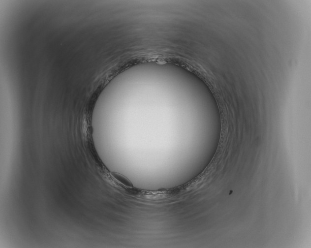 X0000112890720200908211030