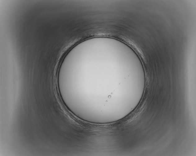 X0000112890721200908211029