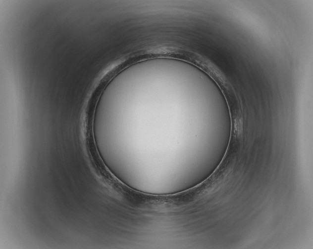 X0000112890724200908211029