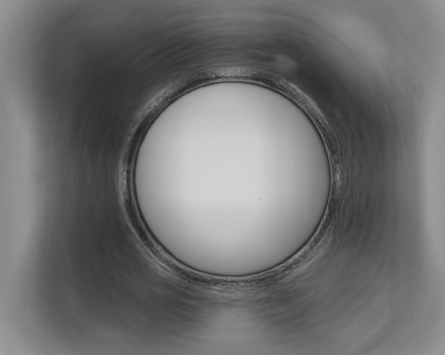 X0000112890725200908211029
