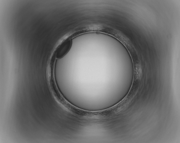 X0000112890726200908211029