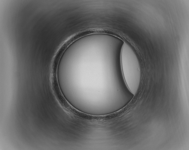 X0000112890728200908211029