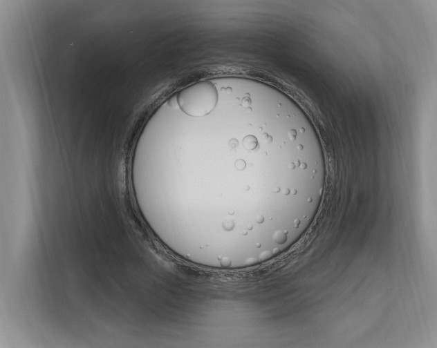 X0000112890729200908211030