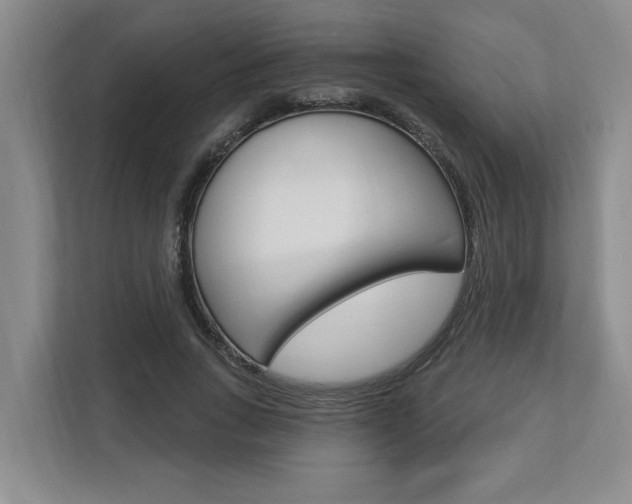 X0000112890735200908211030