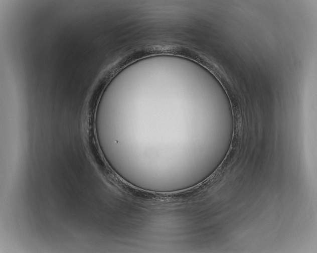 X0000112890736200908211030