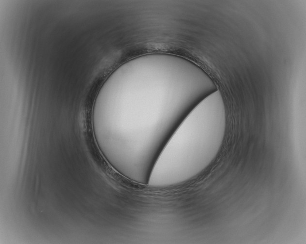 X0000112890738200908211030