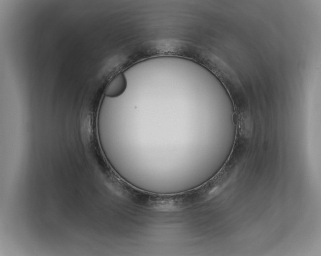 X0000112890740200908211030