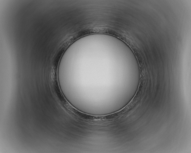 X0000112890744200908211030