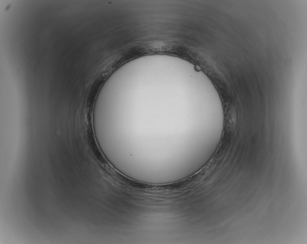 X0000112890746200908211030