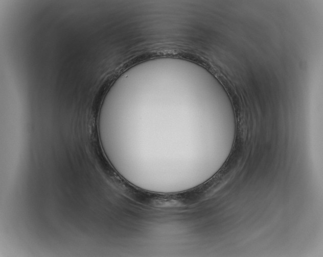 X0000112890747200908211030