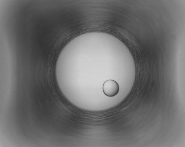 X0000112890748200908211030