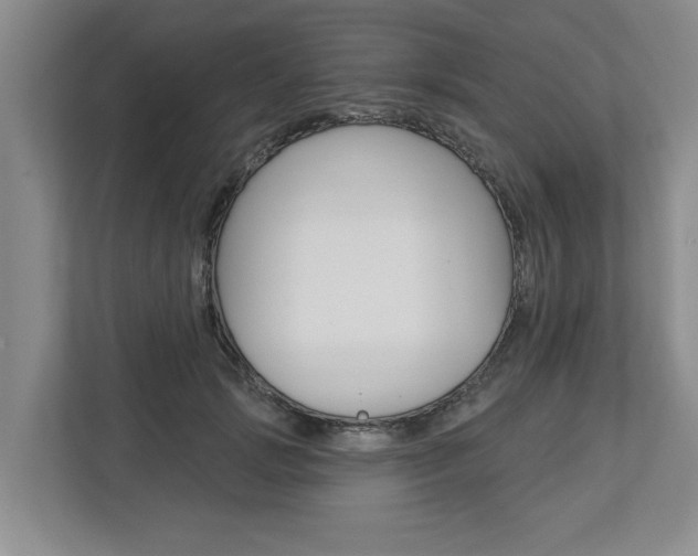 X0000112890749200908211030