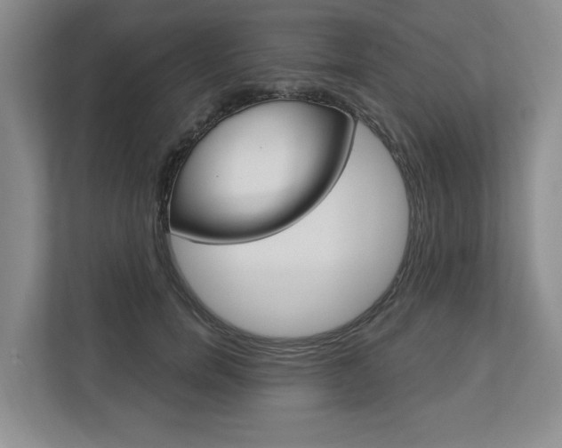 X0000112890750200908211030