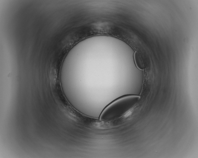 X0000112890752200908211030