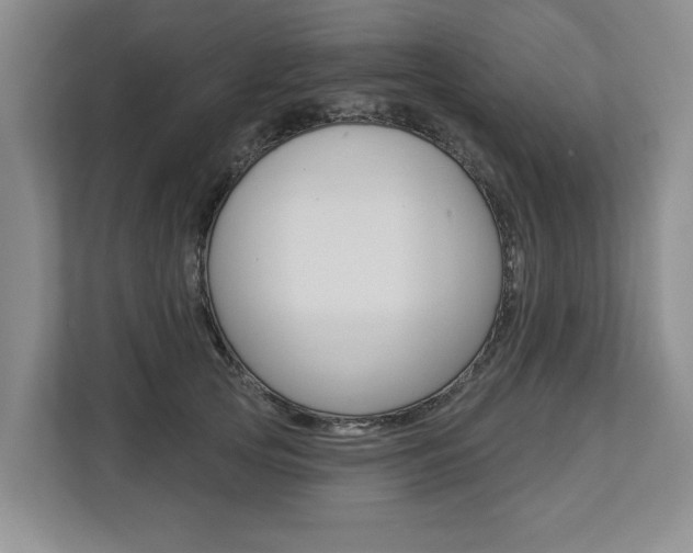 X0000112890753200908211030