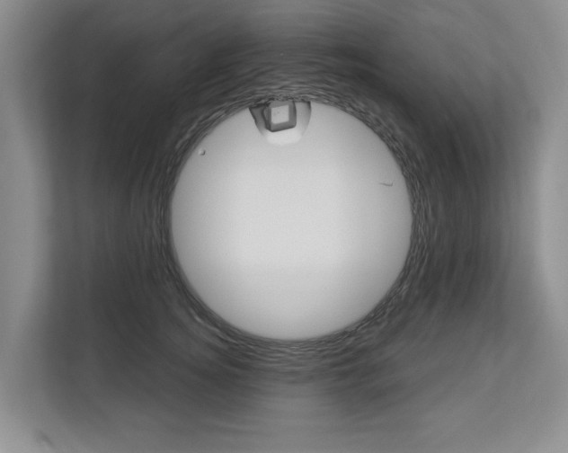 X0000112890756200908211030