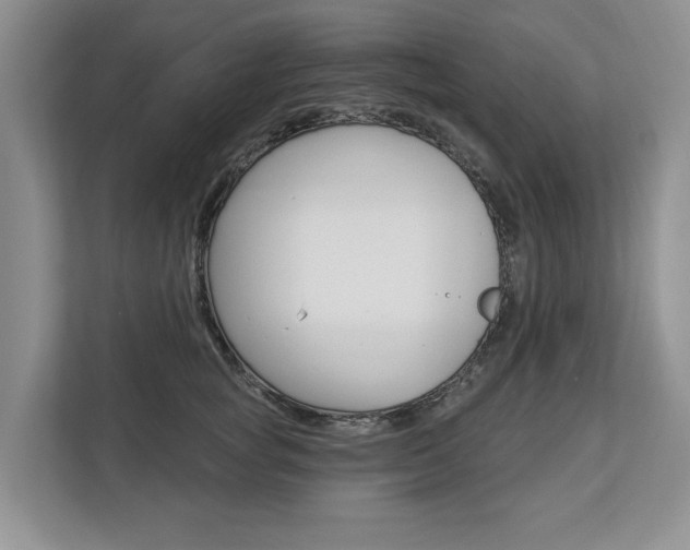X0000112890757200908211030