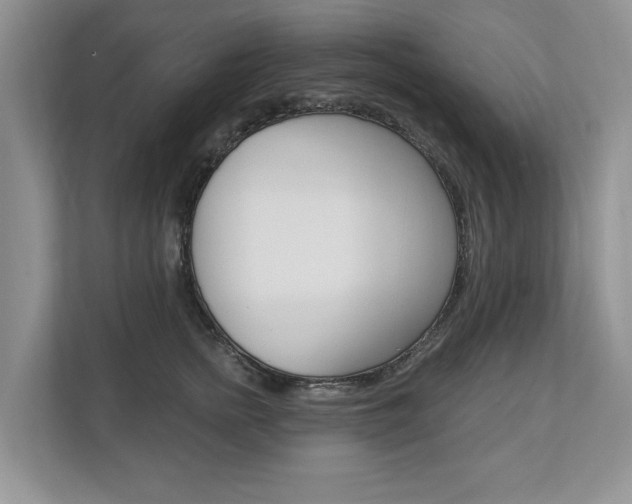 X0000112890758200908211030