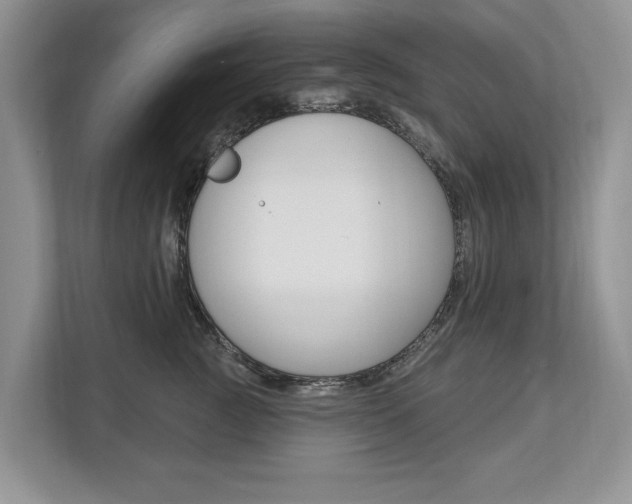 X0000112890761200908211030