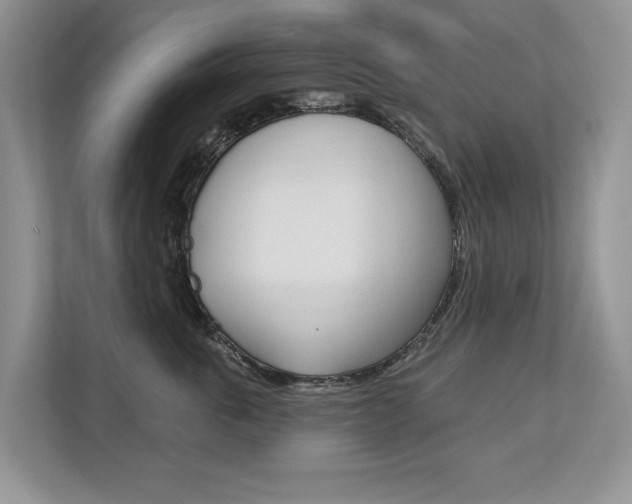 X0000112890763200908211030