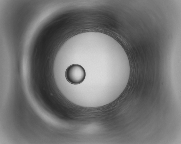 X0000112890764200908211030