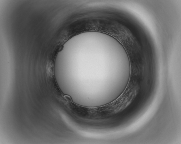 X0000112890766200908211030