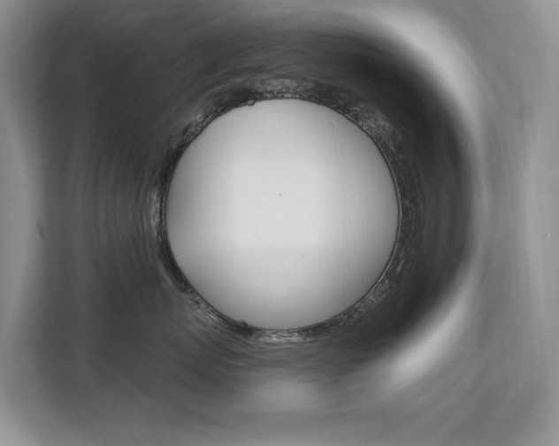 X0000112890767200908211030