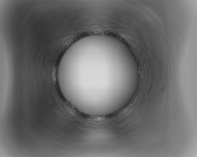 X0000112890768200908211030