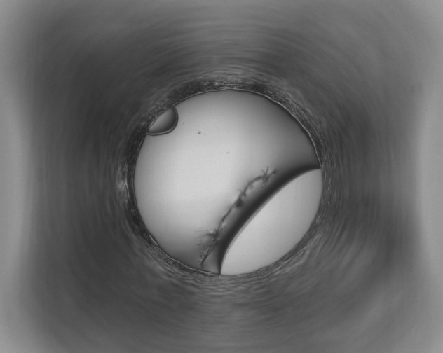 X0000112890771200908211029
