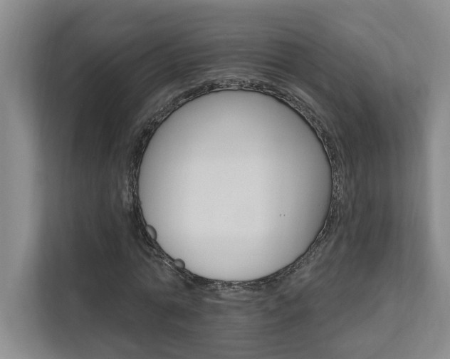 X0000112890774200908211029