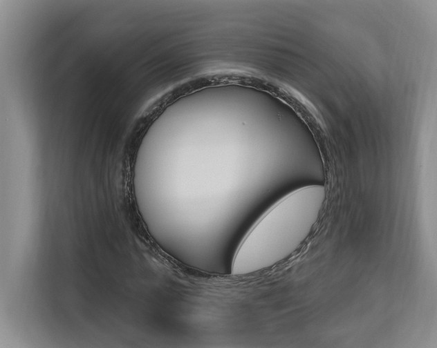 X0000112890775200908211029