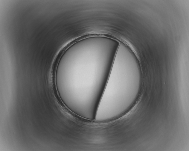 X0000112890779200908211029