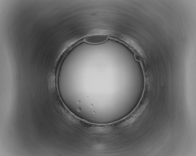 X0000112890781200908211029