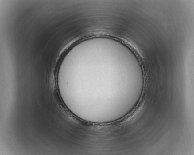 X0000112890782200908211029
