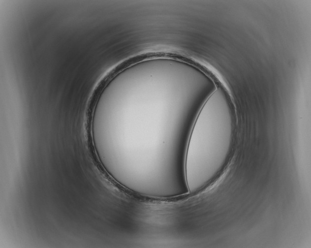 X0000112890783200908211029