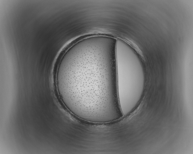 X0000112890784200908211029